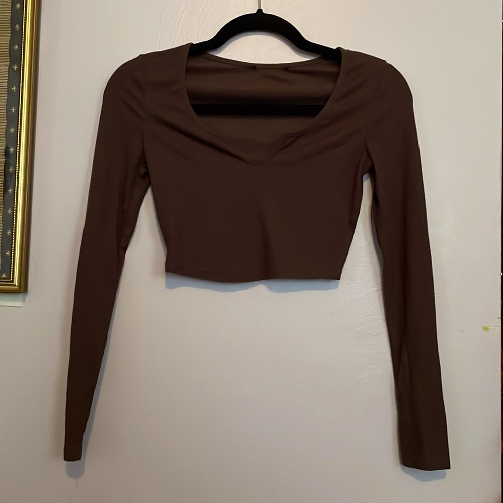 Brown Long Slevee Crop top